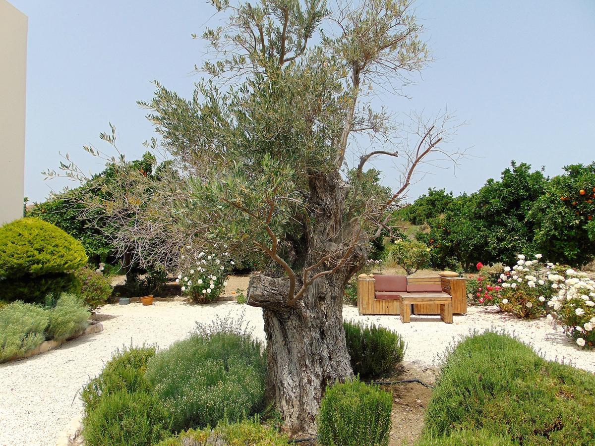 Skoulli Golden Valley Villa מראה חיצוני תמונה