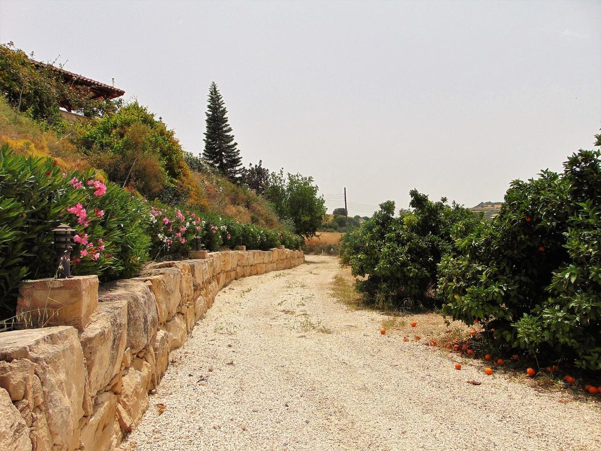 Skoulli Golden Valley Villa מראה חיצוני תמונה